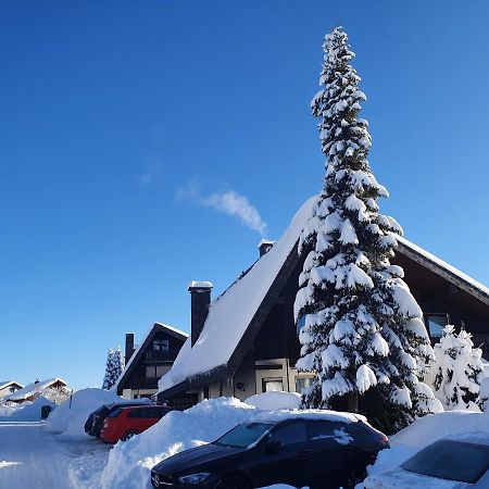 Ferienhaus-Schoenwald Im Herzen Des Schwarzwaldes 1Zimmer Wohnung Mit Terrasse App17 Экстерьер фото
