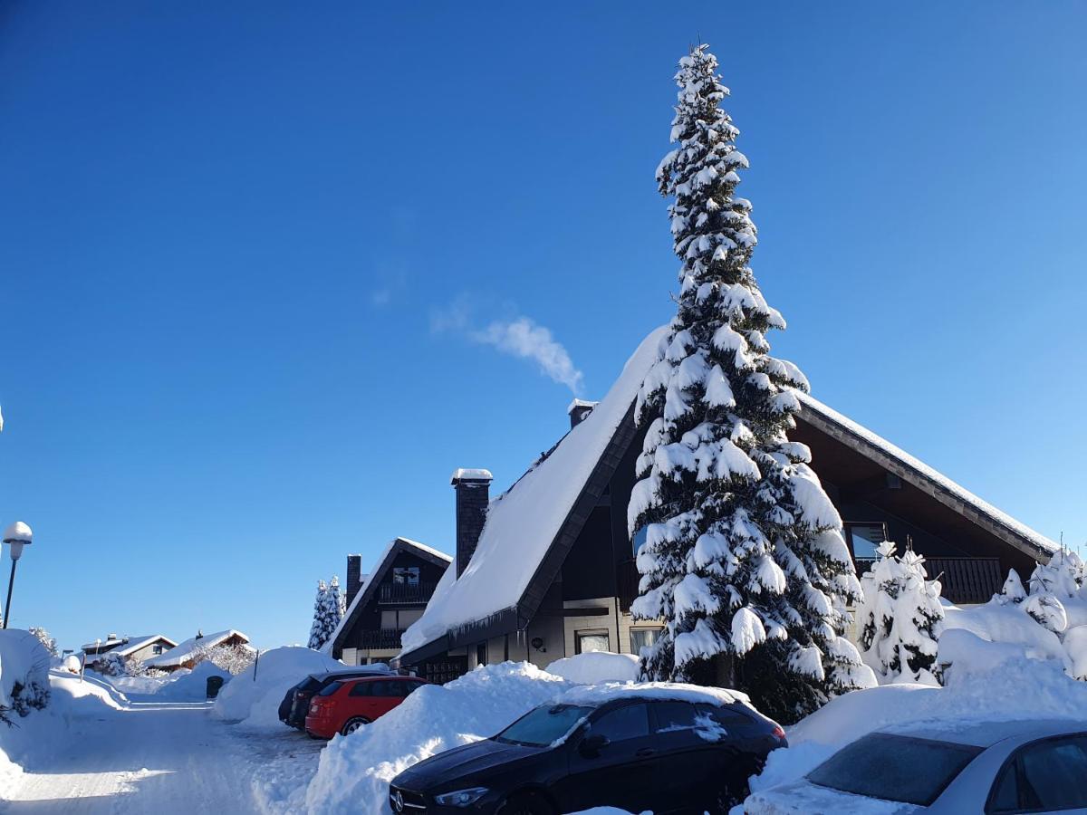 Ferienhaus-Schoenwald Im Herzen Des Schwarzwaldes 1Zimmer Wohnung Mit Terrasse App17 Экстерьер фото