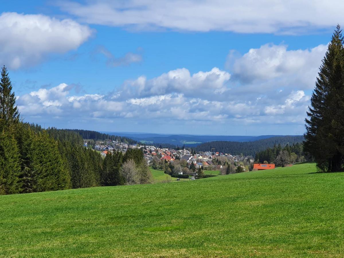 Ferienhaus-Schoenwald Im Herzen Des Schwarzwaldes 1Zimmer Wohnung Mit Terrasse App17 Экстерьер фото
